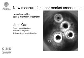going beyond the spatial mismatch hypothesis