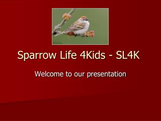 Sparrow Life 4Kids - SL4K