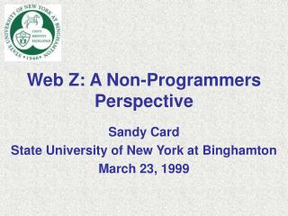 Web Z: A Non-Programmers Perspective