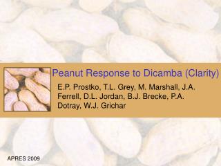 Peanut Response to Dicamba (Clarity)