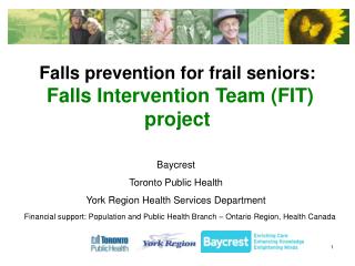 Falls prevention for frail seniors: Falls Intervention Team (FIT) project
