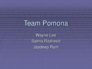 Team Pomona
