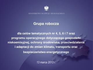 Grupa robocza dla celów tematycznych nr 4, 5, 6 i 7 oraz