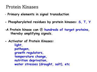 Protein Kinases