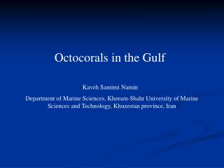 Octocorals in the Gulf
