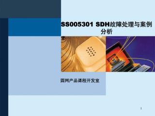 SS005301 SDH故障处理与案例分析