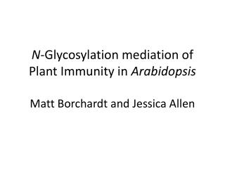 N -Glycosylation mediation of Plant Immunity in Arabidopsis Matt Borchardt and Jessica Allen