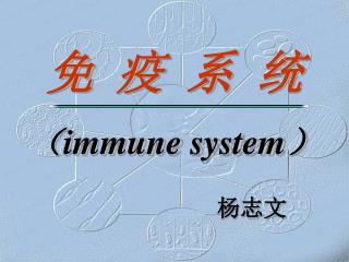 免 疫 系 统 （ immune system ）