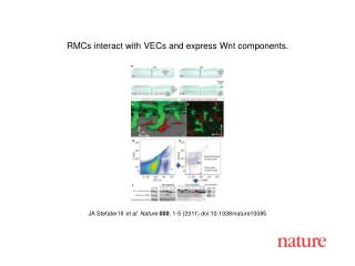 JA Stefater III et al. Nature 000 , 1-5 (2011) doi:10.1038/nature10085