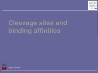 Cleavage sites and binding affinities