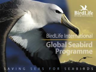 The Global Seabird Programme...