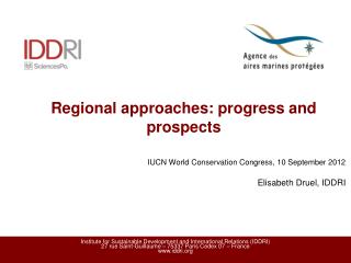 Regional approaches: progress and prospects