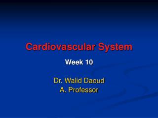 Cardiovascular System