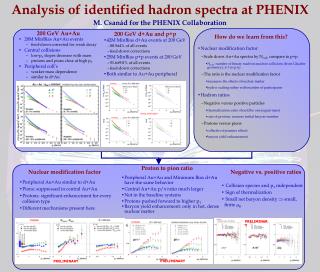 Analysis of identified hadron spectra at PHENIX