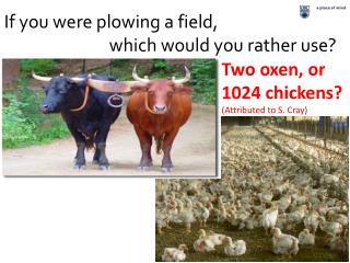 If you were plowing a field, 			which would you rather use?