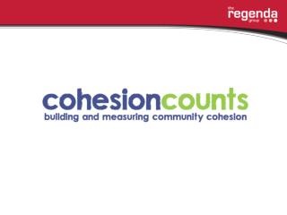 How to develop a community cohesion project