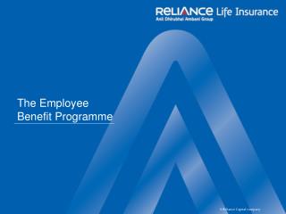 The Employee Benefit Programme