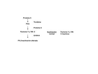 Proteína C   PCA Factores V y VIII: C FVL/Inactivación alterada