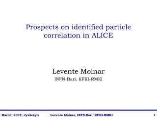 Prospects on identified particle correlation in ALICE