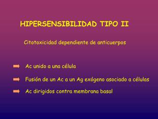 HIPERSENSIBILIDAD TIPO II