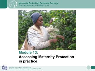 Module 13: Assessing Maternity Protection in practice