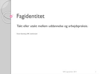 Fagidentitet