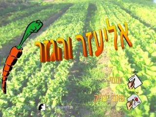 אליעזר והגזר