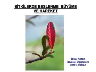 BİTKİLERDE BESLENME BÜYÜME VE HAREKET