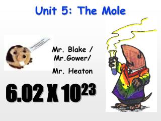 Unit 5: The Mole