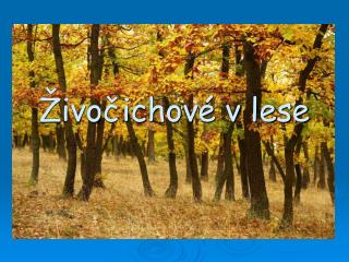 Živočichové v lese