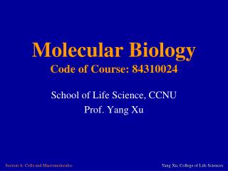 Molecular Biology Code of Course: 84310024