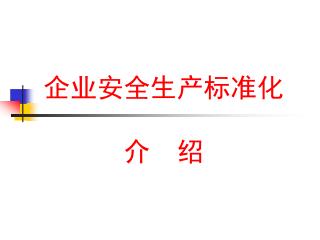 企业安全生产标准化 介 绍