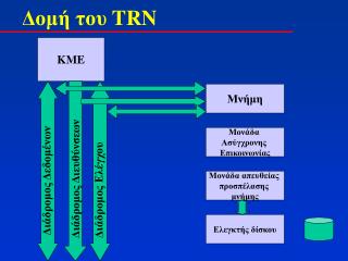 Δομή του TRN