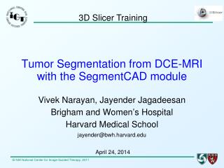Tumor Segmentation from DCE-MRI with the SegmentCAD module