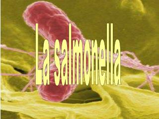 La salmonella