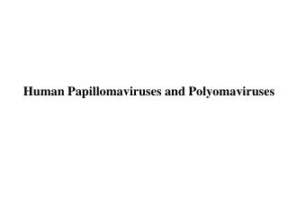 Human Papillomaviruses and Polyomaviruses