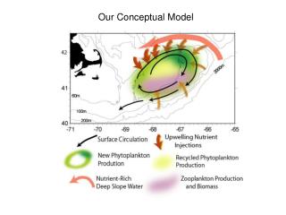 Our Conceptual Model