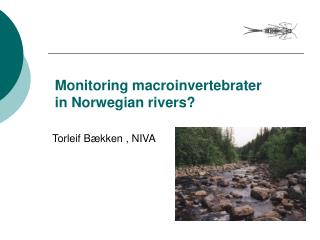 Monitoring macroinvertebrater in Norwegian rivers?