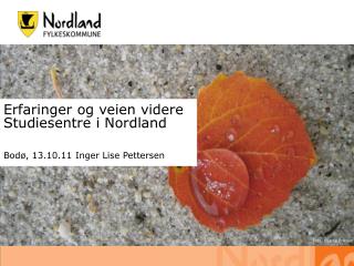 Erfaringer og veien videre Studiesentre i Nordland Bodø, 13.10.11 Inger Lise Pettersen