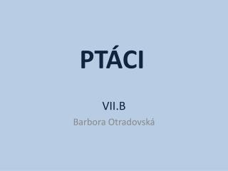 PTÁCI