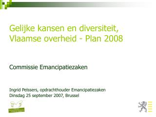 Gelijke kansen en diversiteit, Vlaamse overheid - Plan 2008