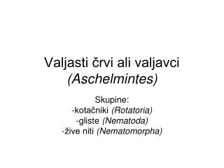 Valjasti črvi ali valjavci (Aschelmintes)