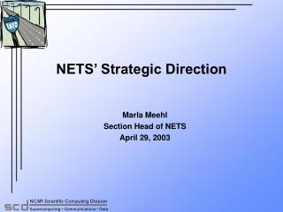 NETS’ Strategic Direction