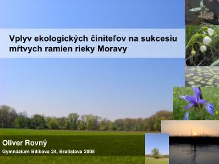 Vplyv ekologických činiteľov na sukcesiu mŕtvych ramien rieky Moravy