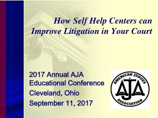 How Self Help Centers can Improve Litigation in Your Court