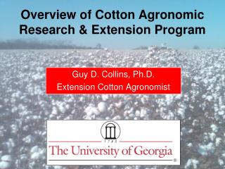 Guy D. Collins, Ph.D. Extension Cotton Agronomist