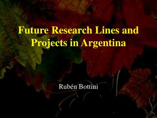 Future Research Lines and Projects in Argentina