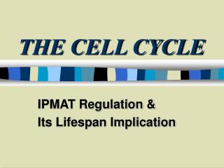 THE CELL CYCLE