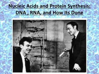 Nucleic Acids and Protein Synthesis: DNA , RNA, and How Its Done