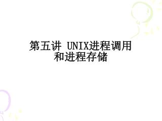 第五讲 UNIX 进程调用 和进程存储